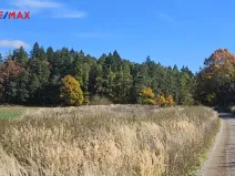 Prodej zahrady, Písek, 404 m2