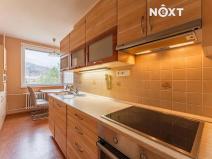 Pronájem bytu 3+1, Olšany, 76 m2