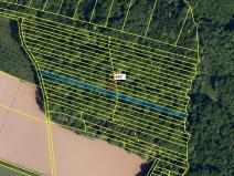 Dražba lesa, Hradčany-Kobeřice, 1989 m2