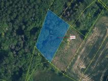 Dražba lesa, Jenišovice, 2305 m2