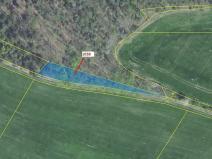 Dražba lesa, Nové Dvory, 953 m2