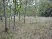 Prodej zahrady, Liberec, 1233 m2