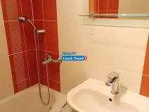 Pronájem bytu 1+1, Olomouc, Dělnická, 37 m2