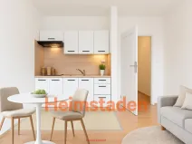 Pronájem bytu 1+kk, Český Těšín, Okružní, 28 m2