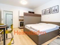 Pronájem bytu 1+kk, Plzeň - Jižní Předměstí, Magisterská, 28 m2