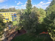 Prodej bytu 3+1, Opava - Předměstí, Haškova, 67 m2