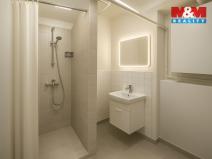 Prodej bytu 1+kk, Praha - Žižkov, Hartigova, 29 m2