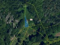 Dražba lesa, Dešov, 111 m2