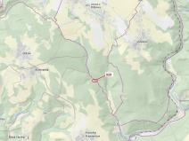 Dražba lesa, Jílové u Držkova, 151 m2