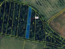 Dražba lesa, Hradčany-Kobeřice, 1221 m2