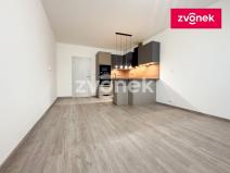 Pronájem bytu 1+kk, Zlín, Nad Stráněmi, 37 m2