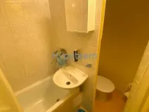 Pronájem bytu 1+kk, Ústí nad Labem - Severní Terasa, Větrná, 19 m2