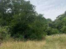 Dražba pozemku, Praha - Michle, 8863 m2