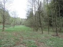 Prodej lesa, Osečná, 3006 m2