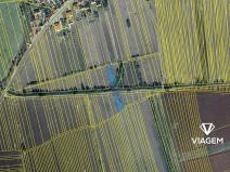 Prodej podílu pole, Kněždub, 811 m2