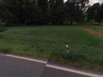 Prodej pozemku, Jívka, 2052 m2