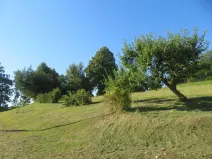 Dražba louky, Opatov, 2916 m2