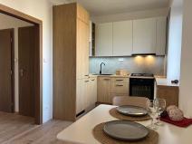 Pronájem bytu 2+kk, Ostrava, Sokolská třída, 61 m2