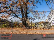 Prodej pozemku pro bydlení, Svítkov, Žižkova, 924 m2