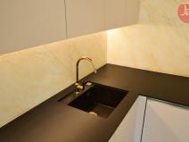 Pronájem bytu 1+kk, Ostrava, F. X. Riepla, 44 m2