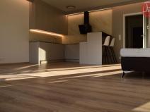 Pronájem bytu 1+kk, Ostrava, F. X. Riepla, 44 m2