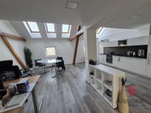 Pronájem atypického bytu, Praha - Nusle, Sinkulova, 141 m2