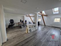 Pronájem atypického bytu, Praha - Nusle, Sinkulova, 141 m2