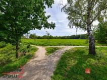 Prodej pozemku pro bydlení, Nové Sedlo - Loučky, Nové Loučky, 47741 m2