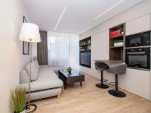 Pronájem bytu 1+kk, Ostrava, U Parku, 30 m2