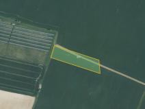 Prodej pole, Turovice, 7608 m2