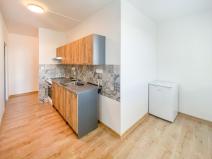 Pronájem bytu 1+1, České Budějovice - České Budějovice 2, Fr. Ondříčka, 43 m2