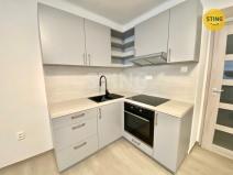 Pronájem bytu 1+kk, Opava - Předměstí, Na Rybníčku, 25 m2