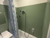 Pronájem bytu 1+kk, Plzeň, Vrchlického, 27 m2