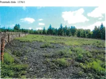 Prodej lesa, Česká Bělá, 18552 m2