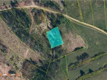 Prodej lesa, Vyskytná nad Jihlavou, 1283 m2