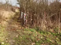 Prodej zahrady, Brno, 1700 m2