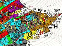 Dražba lesa, Milavče, 3695 m2