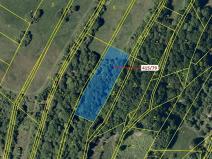 Dražba louky, Jankovice, 2523 m2