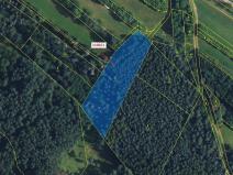 Dražba lesa, Žďárec, 3474 m2