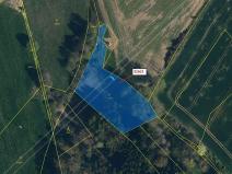 Dražba louky, Olešná, 3211 m2