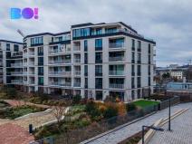 Pronájem bytu 1+kk, Ostrava, F. X. Riepla, 45 m2