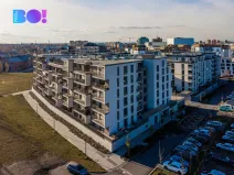 Pronájem bytu 1+kk, Ostrava, F. X. Riepla, 45 m2