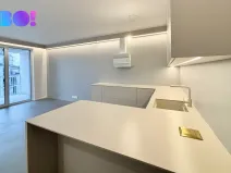 Pronájem bytu 1+kk, Ostrava, F. X. Riepla, 45 m2