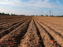 Prodej pozemku pro bydlení, Bohdašín, 1300 m2