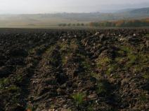 Prodej pole, Bohdašín, 54810 m2