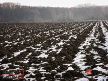 Prodej pole, Bohdašín, 54810 m2