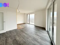 Pronájem bytu 2+kk, Ostrava, F. X. Riepla, 54 m2