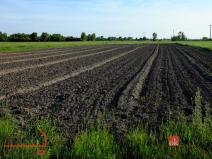 Prodej pozemku pro bydlení, Bohdašín, 3300 m2