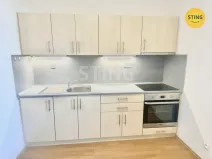 Pronájem bytu 1+1, Opava - Předměstí, Anenská, 40 m2