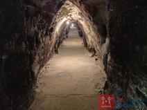 Pronájem vinného sklepa, Nový Šaldorf-Sedlešovice - Nový Šaldorf, 310 m2